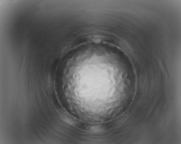 X0000083000173200702081910