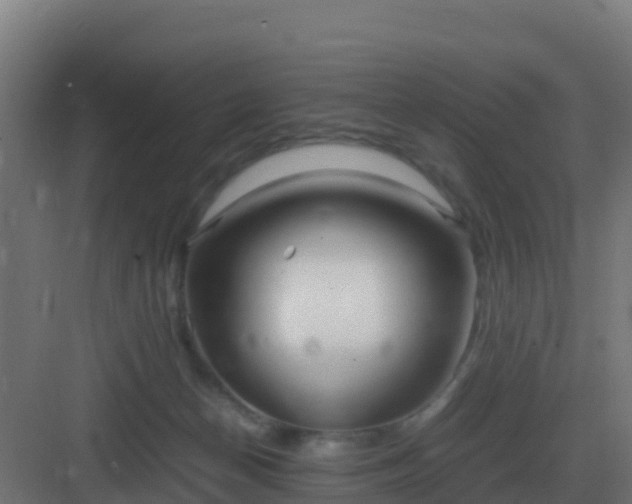 X0000083000174200702081910