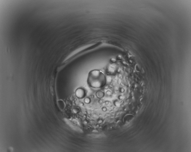 X0000083000175200702081910