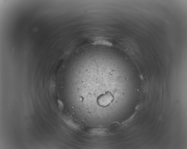 X0000083000179200702081910