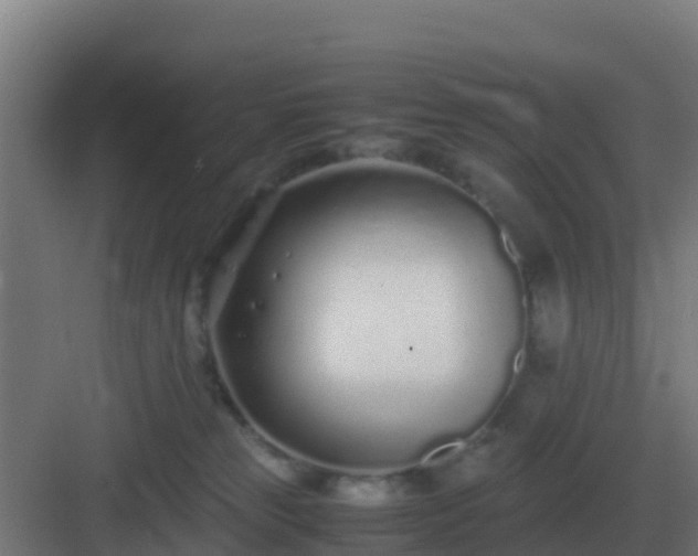 X0000083000181200702081910