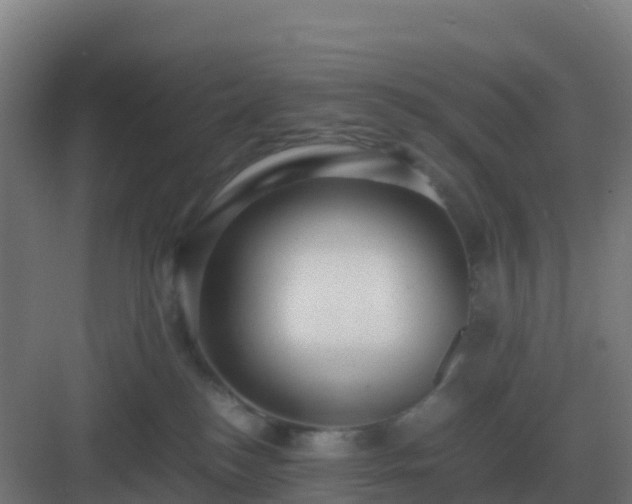 X0000083000184200702081910