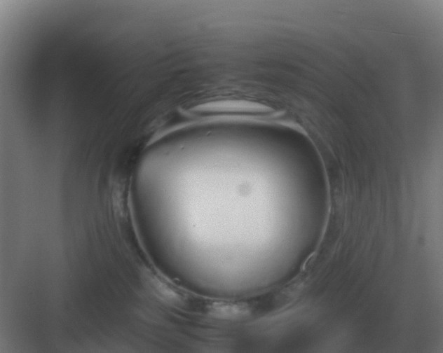 X0000083000185200702081910