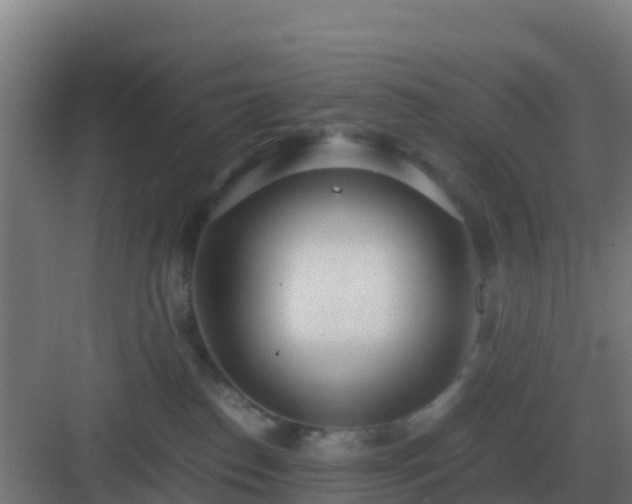 X0000083000186200702081910