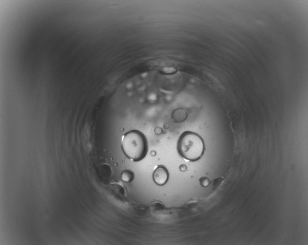 X0000083000187200702081910