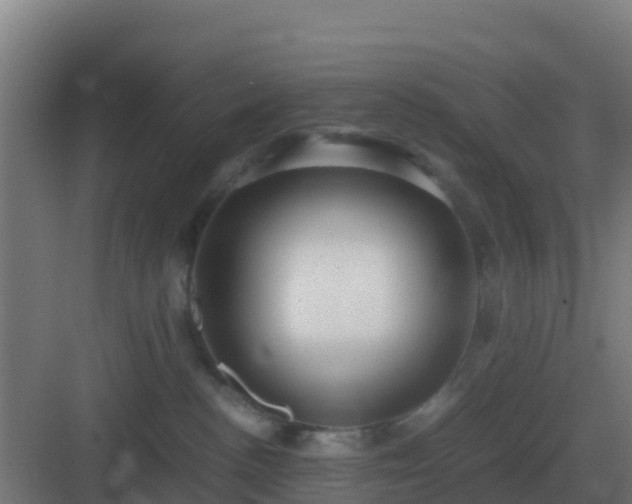 X0000083000188200702081910