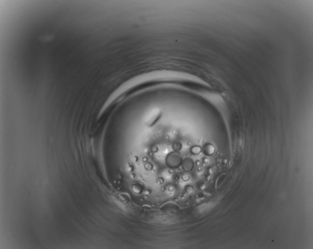 X0000083000189200702081910