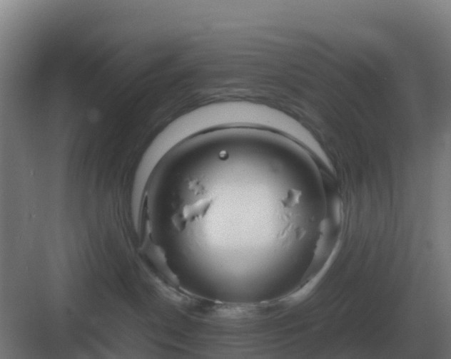 X0000083000190200702081910