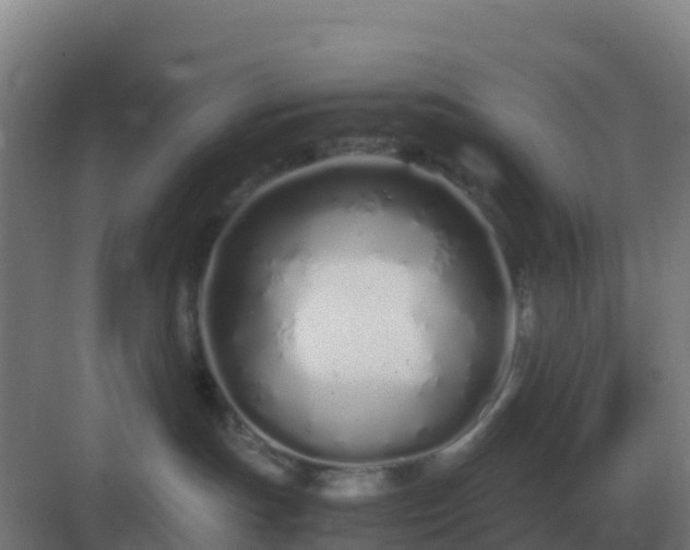 X0000083000191200702081910