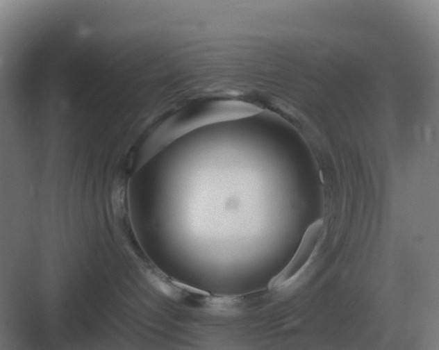 X0000083000192200702081910