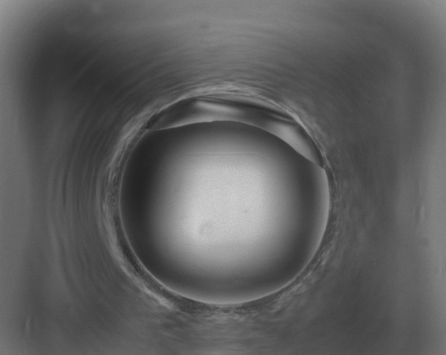 X0000083000193200702081909