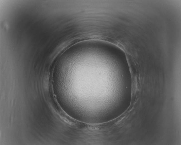 X0000083000194200702081909