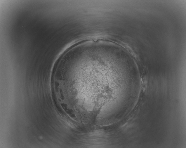 X0000083000196200702081909