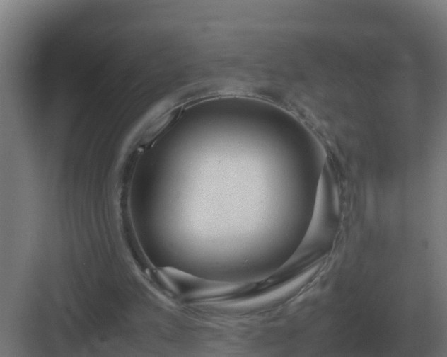 X0000083000197200702081909