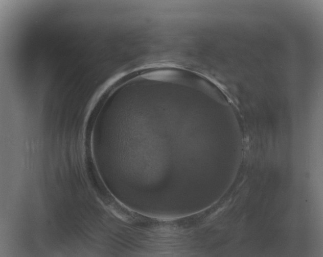 X0000083000200200702081909