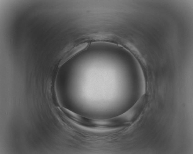 X0000083000201200702081909