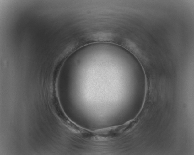 X0000083000202200702081909