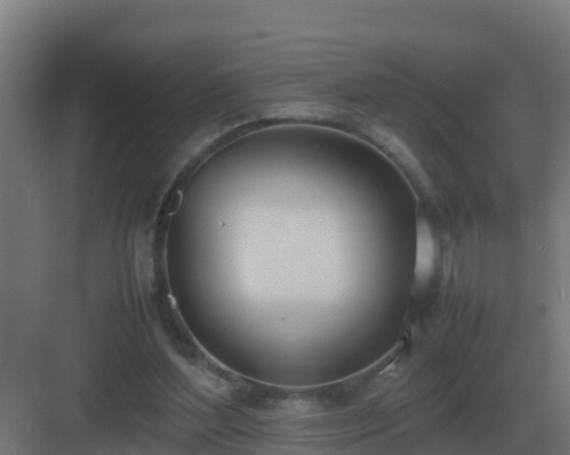 X0000083000204200702081909