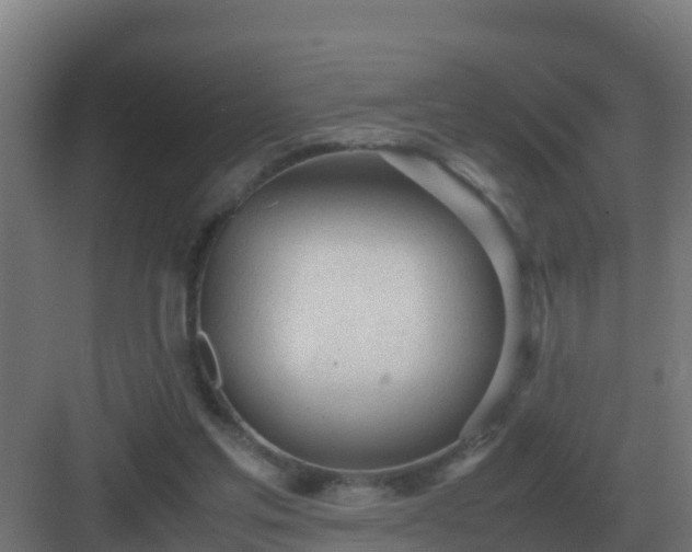 X0000083000205200702081909