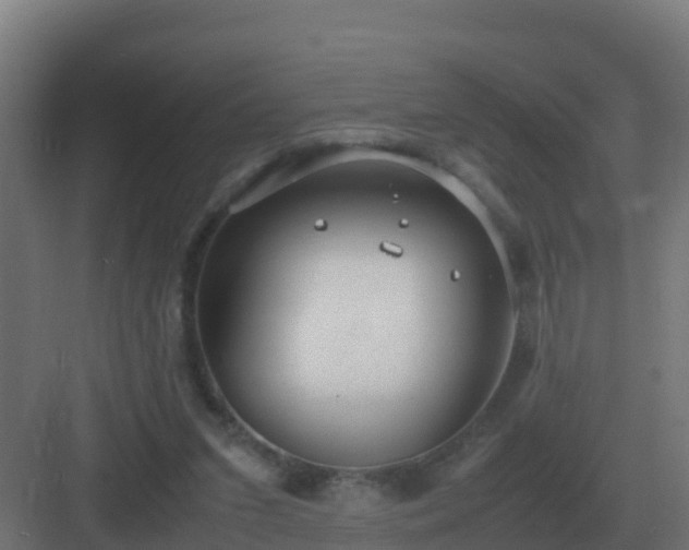 X0000083000207200702081909