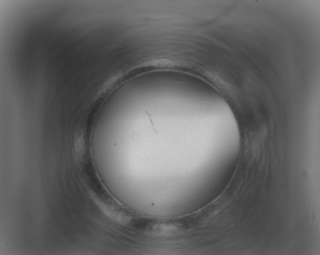 X0000083000208200702081909