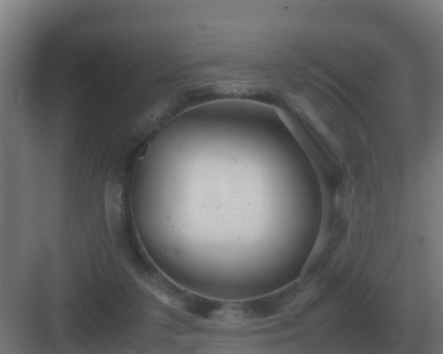 X0000083000211200702081909