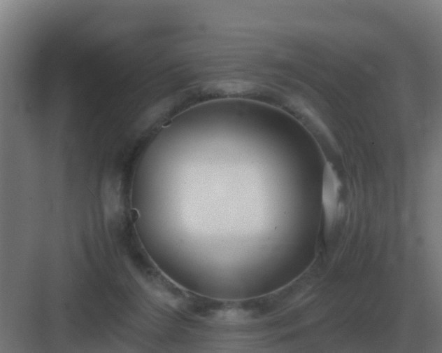 X0000083000212200702081909