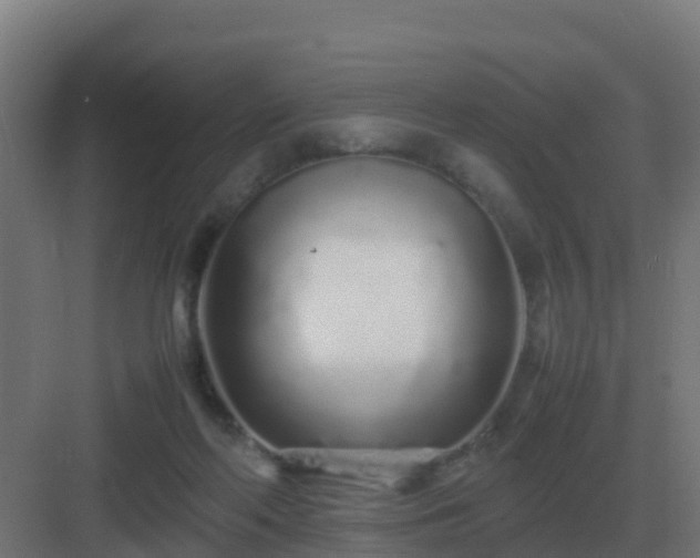 X0000083000214200702081909