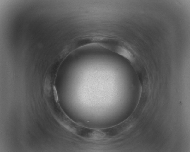 X0000083000215200702081909