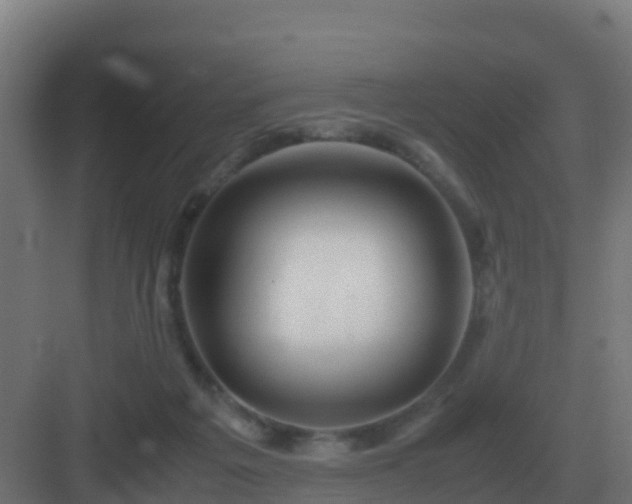 X0000083000217200702081909