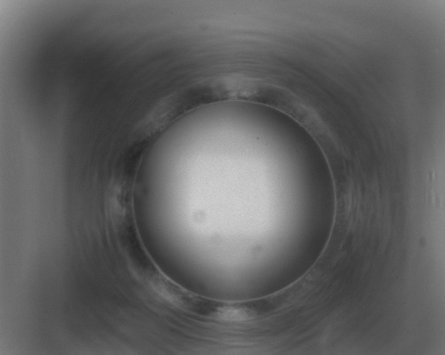 X0000083000218200702081909