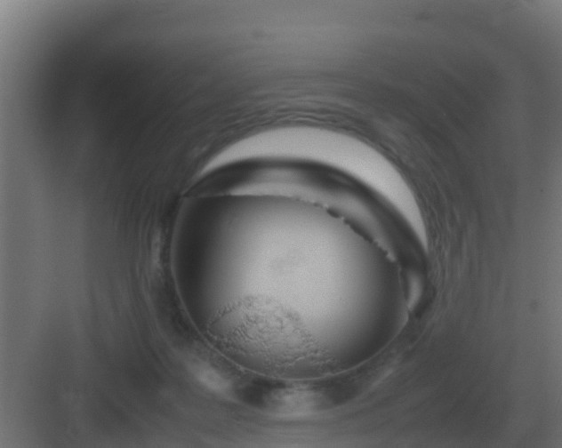 X0000083000219200702081909