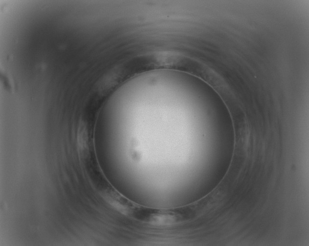 X0000083000220200702081909