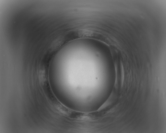 X0000083000224200702081909