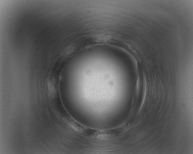 X0000083000228200702081908