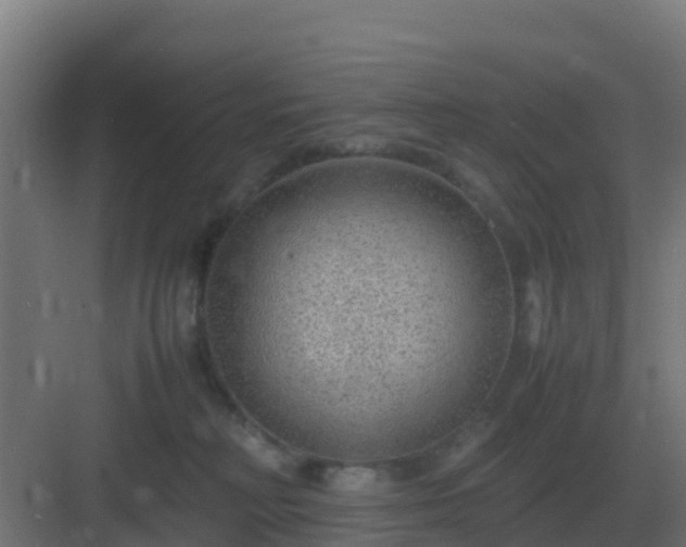 X0000083000230200702081908