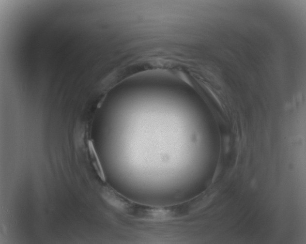 X0000083000233200702081908