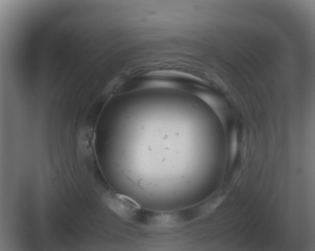 X0000083000237200702081908