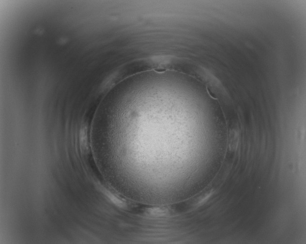 X0000083000238200702081908