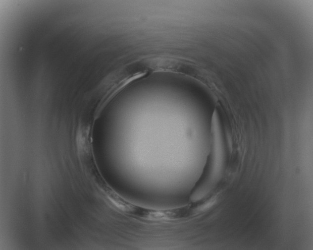 X0000083000239200702081908