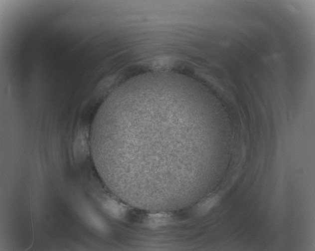 X0000083000240200702081908