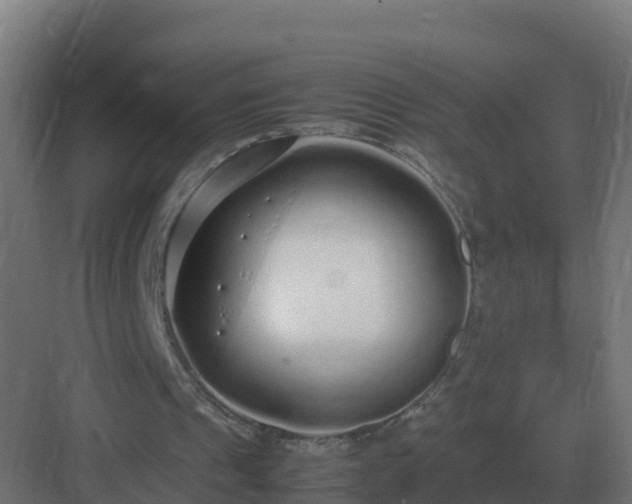 X0000083000241200702081907