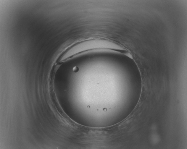 X0000083000242200702081908