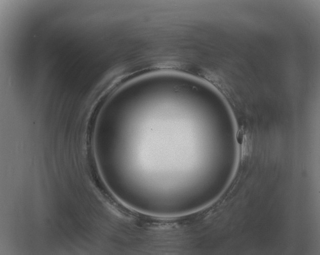 X0000083000243200702081908