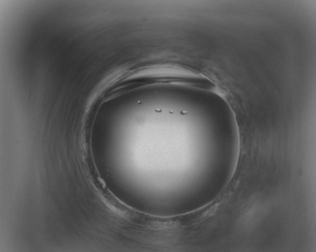 X0000083000245200702081908