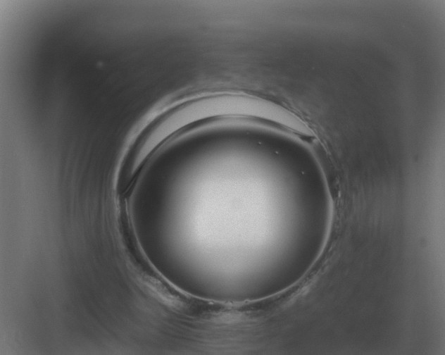 X0000083000246200702081908