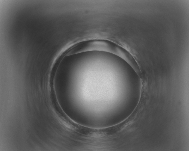 X0000083000248200702081908