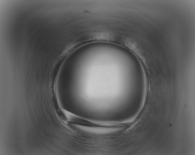 X0000083000249200702081908