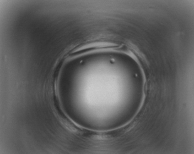 X0000083000250200702081908