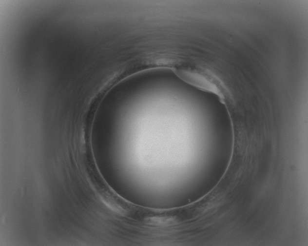 X0000083000251200702081908